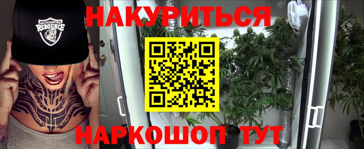Бошки Шишки тримм  Вход с VPN  Канабис Bruce Banner  Бошки марихуана планчик  Ачинск 